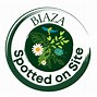 Image result for biaza