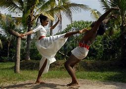 Image result for African Martial Arts Styles