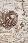 Image result for Leonardo Da Vinci Science Discoveries