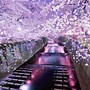 Image result for japanese cherry blossoms