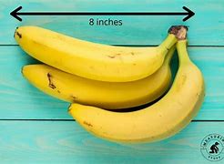 Image result for How Big Is Eight Inches