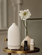 Image result for Amazon My Oil Diffuser