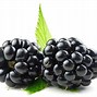 Image result for Berry Fruits List