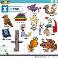 Image result for Letter X Words for Kids