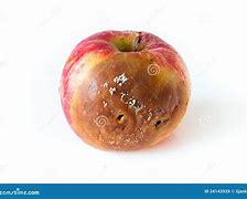 Image result for Pixalated Rotten Apple