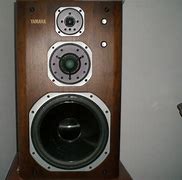 Image result for Large Outdoor Speakers