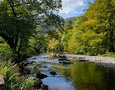 Image result for Afon Nodwydd