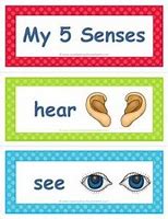 Image result for 5 Senses Cards