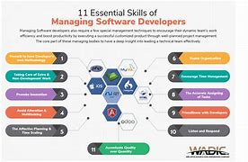 Image result for Software Developer Skills
