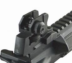 Image result for Rear Iron Sight