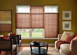 Image result for Pleated Shades