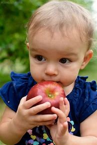 Image result for Pumpkin Patches and Apple Picking