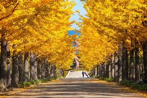 Image result for Ueno Park Tokyo Autumn