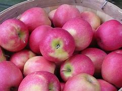 Image result for Apple Pink Fruit Round Sphere and Leaf