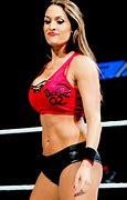 Image result for Nikki Bella WWE Stunned