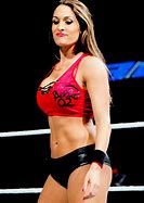Image result for WWE Nikki Bella Arrested