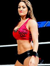 Image result for Nikki Bella WWE Panter