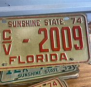 Image result for Florida Novelty License Plate