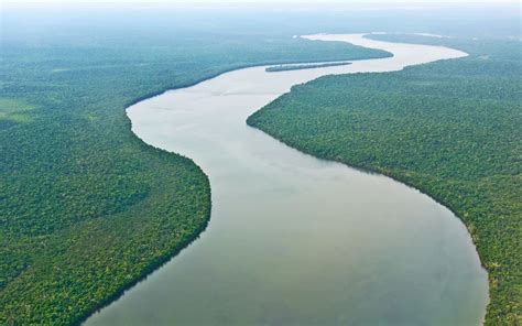 Les Amazone