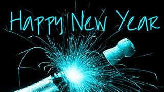 Image result for Funny Happy New Year 2014