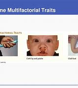 Image result for C Inheritance Class Example
