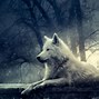 Image result for Geometric Wolf Wallpaper