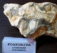 Image result for fosforita
