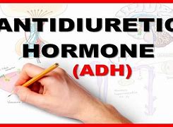 Image result for adh�n