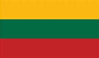 Image result for Lithuania Flag