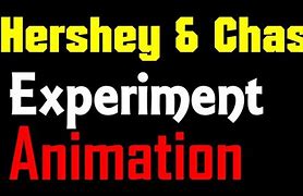 Image result for Hershey AMD Chase