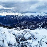 Image result for Winter in Canberra