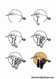 Image result for How to Draw Pelican