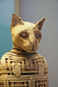 Image result for Egyptian Cat Mummy