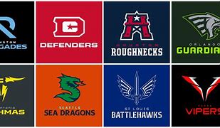 Image result for XFL Owners