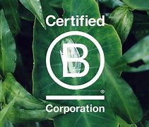 Image result for Beauty Counter B Corporation