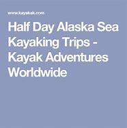Image result for Glacier Bay Kayaking