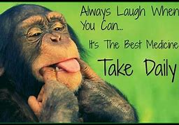 Image result for Laugh Quotes Funny