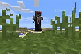 Image result for Minecraft Skin Examples