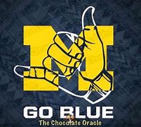 Image result for Michigan Wolverines Go Blue