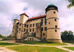 Image result for co_oznacza_zamek_w_wiśniczu