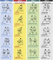 Image result for Jujitsu Techniques