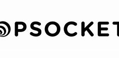 Image result for Popsockets Logo