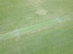 Image result for Cricket Pitch Birds Eye View