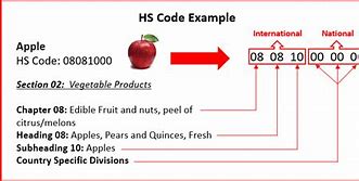 Image result for HS Code Sample
