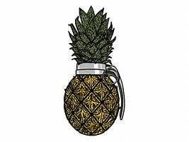 Image result for Pineapple Grenade SVG