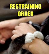 Image result for Cat Restraining Order