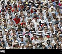 Image result for English Fans at the Cricket