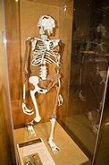 Image result for 9000 Year Old Skeleton Woman