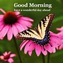 Image result for Good Morning Have a Great Day Fall Leaves