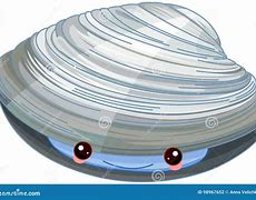 Image result for Drawing of a Quahog